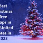 Best Christmas Tree Shops in the United States in 2023